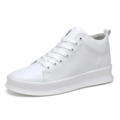 Zaro - 6 cm