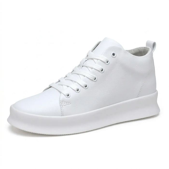 Zaro - 6 cm