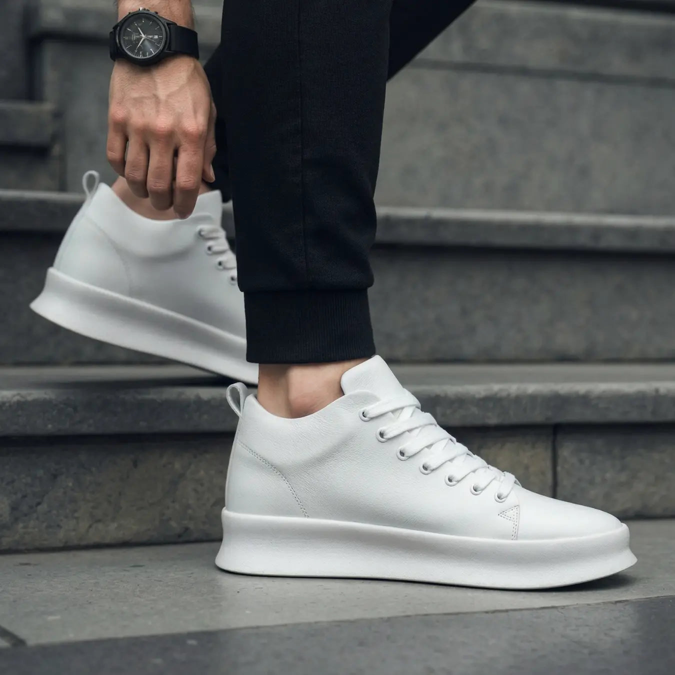 Zaro - 6 cm