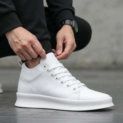 Zaro - 6 cm