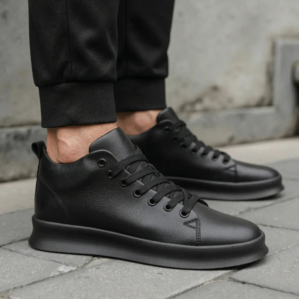 Zaro - 6 cm